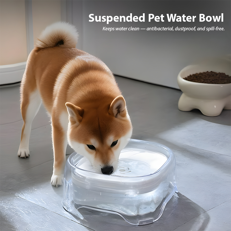 2L Floating Pet Water Bowl – No-Wet Mouth Design