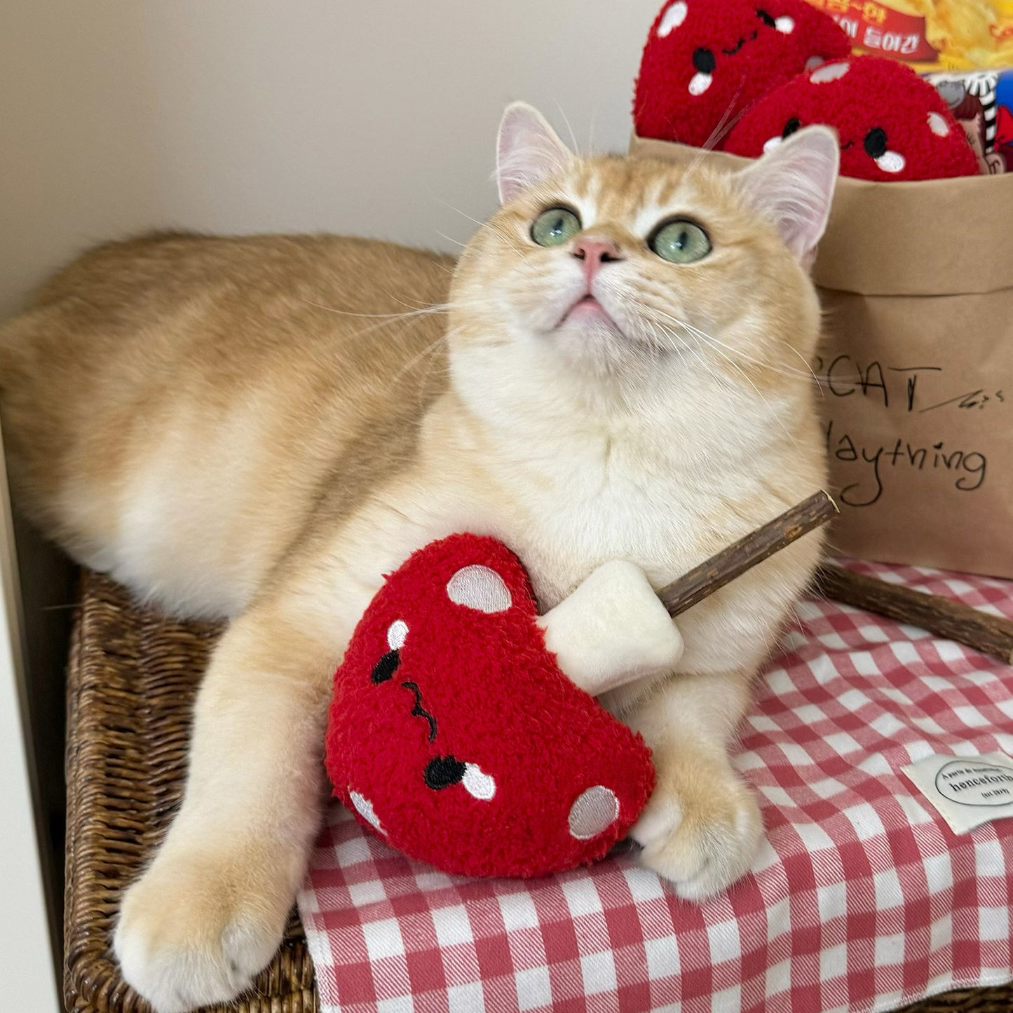 Mushroom Matatabi Chew Toy — Durable Cat Teaser for Boredom Relief