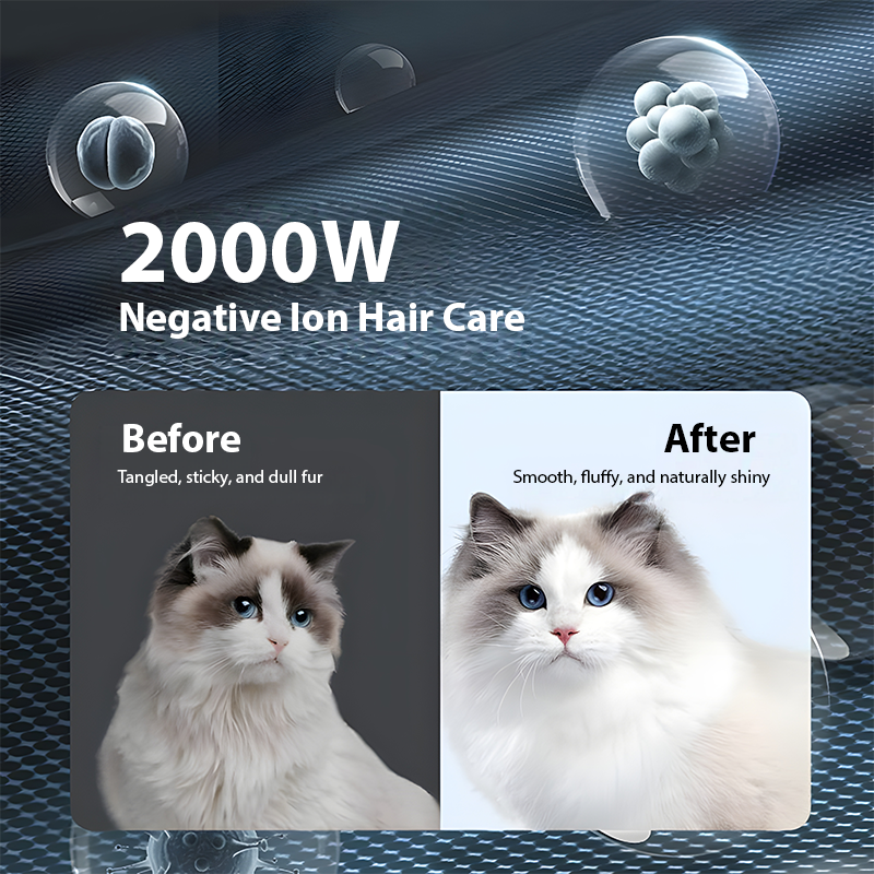 62L Cat & Dog Dryer – Large Capacity, Automatic Pet Dryer