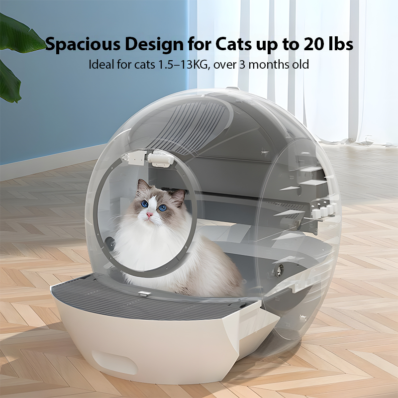 Smart Cat Litter Box – Automatic Cleaning & Bulk Supply