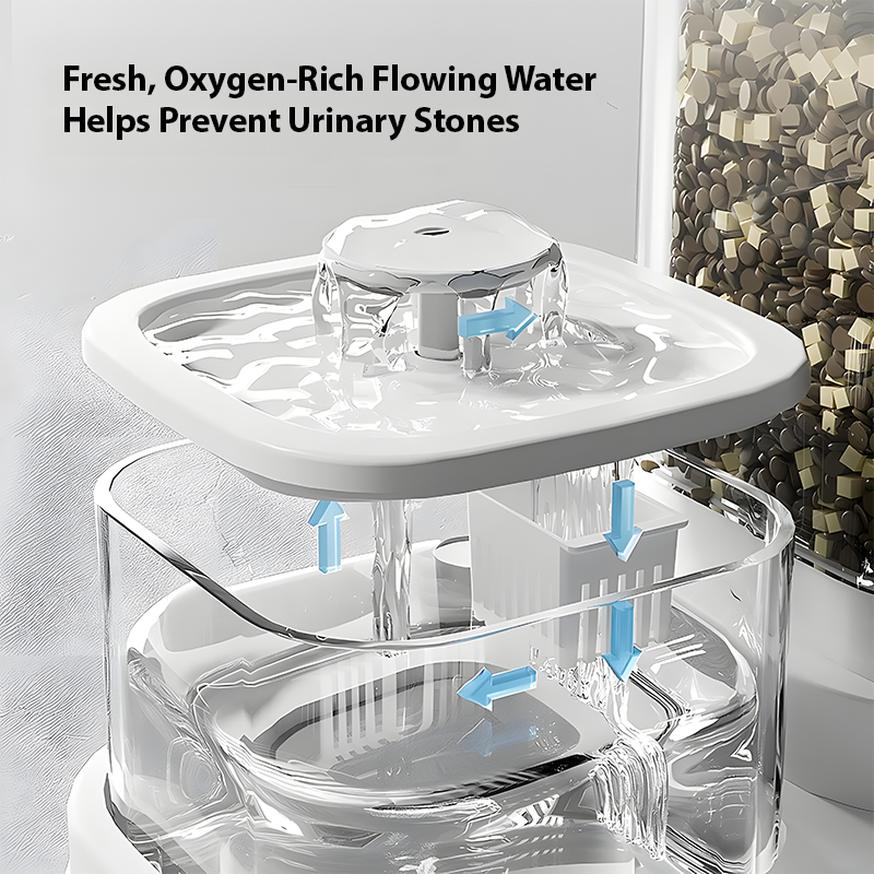 2-in-1 Cat Water & Food Dispenser