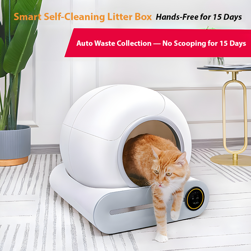 65L Smart Cat Litter Box – Auto Cleaning & Odor Control