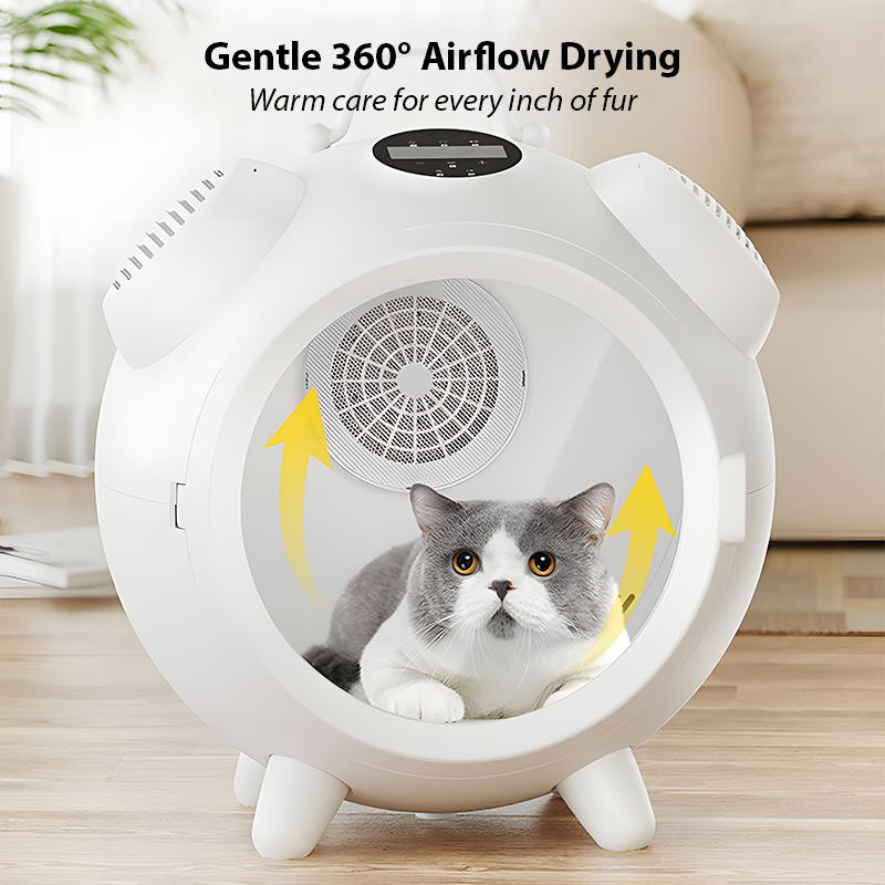 62L Quiet Pet Hair Dryer Box, Constant Temperature