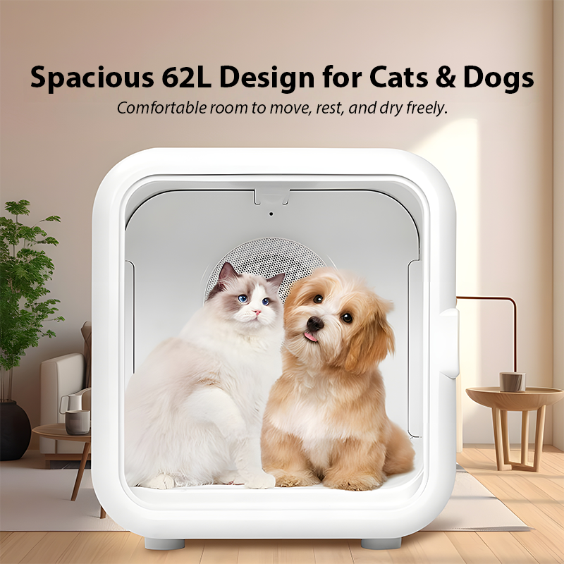 62L Cat & Dog Dryer – Large Capacity, Automatic Pet Dryer