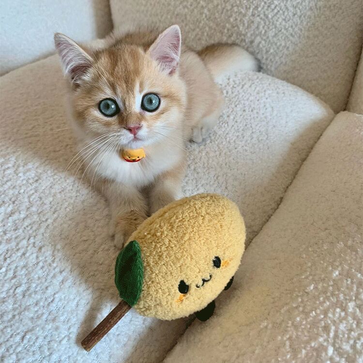 Fun Matatabi Cat Chew Stick — Self-Play Teaser & Dental Chew Toy