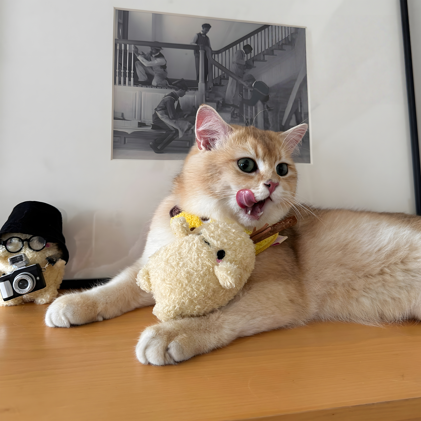 Hazelnut Cat Chew Toy — Tough Matatabi Teaser for Self-Play