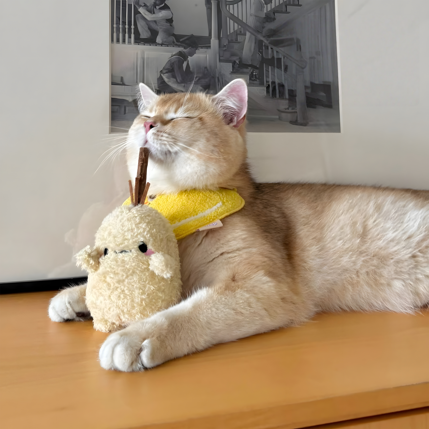 Natural Matatabi Cat Chew Stick — Dental Cleaning Teaser Toy for Kittens & Adult Cats