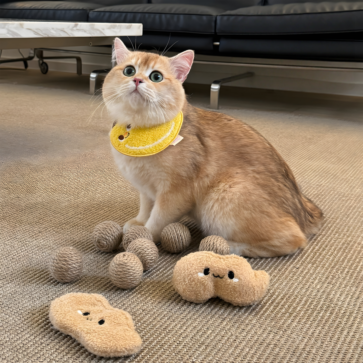 Peanut Cat Teaser — Durable Sisal Rope Ball Toy for Kittens (Easy Storage)