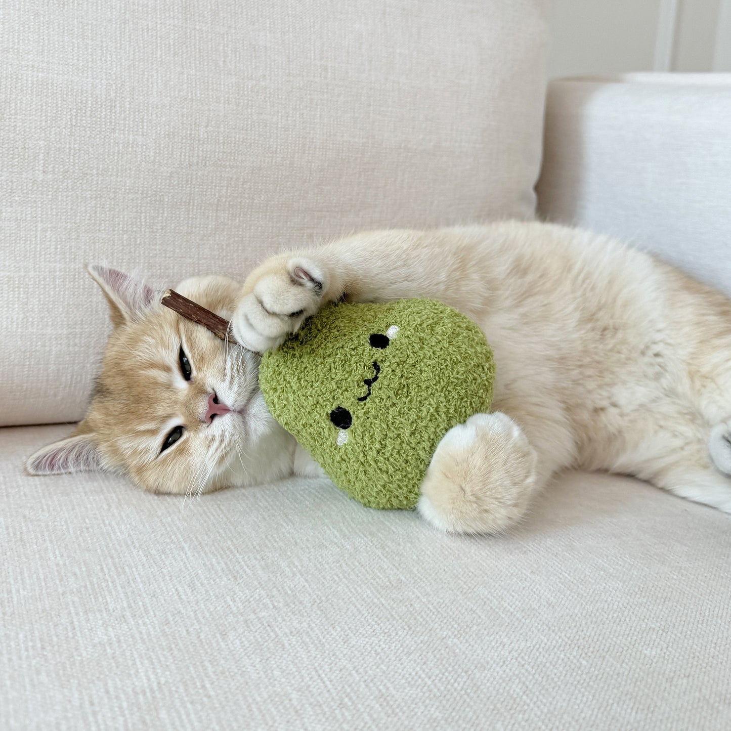 Natural Matatabi Cat Chew Stick — Dental Cleaning Teaser Toy for Kittens & Adult Cats