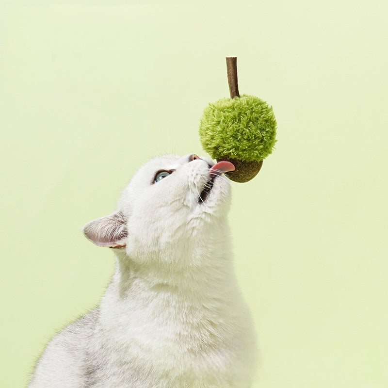 Acorn Catnip Toy — Fruit-Style Cat Chew Plush & Bag Charm for Kittens